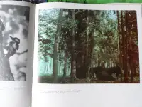 Альбомы Лувр. Париж и Белавежская пушча, фотография 10