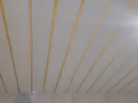 отдельичники, фотография 10