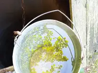 Дом с участком, д. Гейлеши, Сморгонский район, Гродненской обл., фотография 7