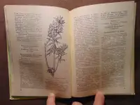 Заготовка дикорастущей продукции (пособие), издательство Ураджай, 1977 год, 240 страниц. Авторы: Коршиков Б. М., Митюков, фотография 10