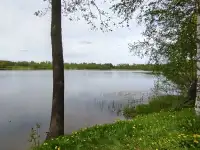 Участок между двух озёр и реки, Витебская обл, ушачский р, жаркий сс, д. Пряники, фотография 5