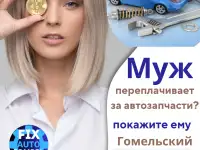 Автозапчасти Гомель FIXAUTO.BY, фотография 3
