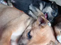 Бесплатно, фотография 3