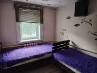 Ухоженный дом Бобруйск, Бумажкова, 38, фотография 3