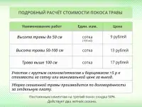 Покос травы/бурьяна/кустов Волковыск и пригород, фотография 2