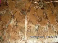 отдам диван в хорошие руки бесплатно