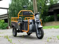 Электротрицикл AVM Cargo mini 800, фотография 3