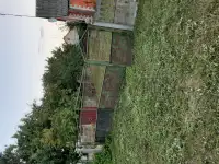 Продать дом, Брестская район д Дребск,ул Новая 36, фотография 2
