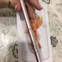 Продам iPhone, фотография 2