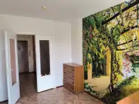 Сдам кв, Припяцкая 21/1 кв3, фотография 7