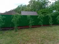 Зеленый забор- Калифорнийское полотно, фотография 7