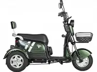 Трицикл rutrike шкипер 650w 48v без акб