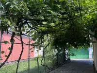Продажа или обмен недвижимости, Г уд 30 лет Советской армии