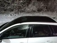 Peugeot 308 (II) Рестайлинг, фотография 6