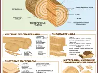 Деревообработка. Комплект учебных плакатов для школы и колледжа