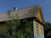 Дом в деревне, фотография 11