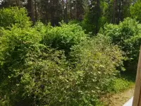 Уютная однокомнатная квартира - ваш дом вдали от дома !, фотография 10