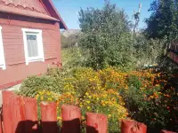 Продам дом в агрогородке Малевичи, фотография 4