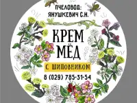 Услуги графического дизайна от BIBAM Group, фотография 10
