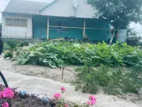 Продажа дома с участком, деревня Якимова Слобода, фотография 1