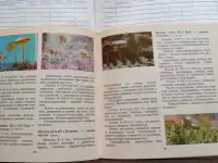 Книга о грибах Макромицеты, фотография 2