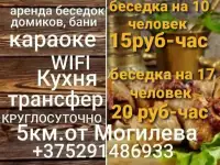 Аренда тёплых беседок, фотография 10