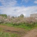 продам дом в городе Браслав, фотография 2