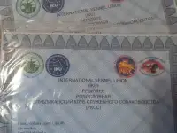 Продаются щенки Самоеда, фотография 3