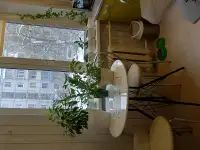 Квартира, Ул Репина дом 8 ,корпус 1