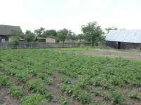 Продается дом в деревне с участком, Малоритский рвйон, д. Пажежин, фотография 3