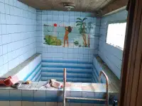 Жилой дом в д.Черёмушки, ул.Дачная, 5, фотография 10
