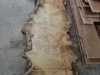 Слэбы от производителя из дуба, шпальтового бука, капового тополя, вербы, капового карагача, ясеня., фотография 4