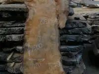 Слэбы от производителя из дуба, шпальтового бука, капового тополя, вербы, капового карагача, ясеня., фотография 5