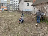 Услуги по вырезке деревьев, фотография 7