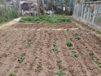 продажа дачи с участком, д.Волоки, фотография 3