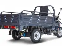 Грузовой электротрицикл rutrike титан 2000 60v1500w, фотография 8