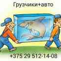 Грузчики, фотография 4