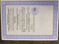 Продам дом, обл., Несвижский район, Ланьский Сельсавет, д. Леоновичи, д. 32,, фотография 7