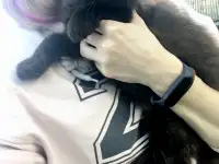 Котята подростки в дар, фотография 6