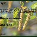 Удаление аварийных деревьев и веток, фотография 2