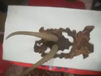 Рога сайгака в медальоне, фотография 2