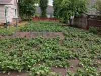 Продается хороший сухой дом, удобный для проживания и отдыха., фотография 5