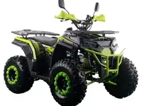 Квадроцикл racer freelander pro200 xmr (мотокомплект)