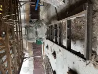 Продам деревообрабатывающее оборудование бу, фотография 8
