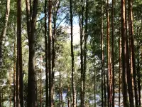 Квартира в санаторно-курортной зоне Лепельского района, фотография 9