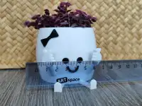 Парные горшки, фотография 3