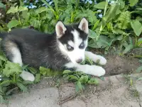 Продажа, фотография 4