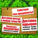 Садовые растения от лучших производителей Европы и РБ. , фотография 2