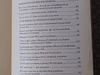 Беларуская лiтаратура: 100 лепшых сачыненняу на лiтаратурныя вольныя тэмы. Мiкола Мiшчанчук., фотография 3
