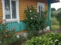 Срочно продам дом в Дятловском р-н д. Засетье